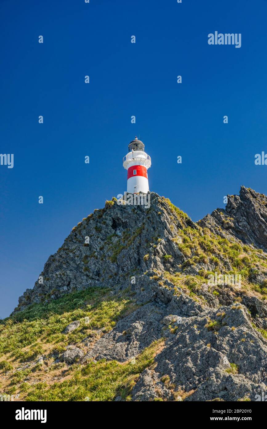 Phare de Cape Palliser, côte sud de Wairarapa, région de Wellington, Île du Nord, Nouvelle-Zélande Banque D'Images