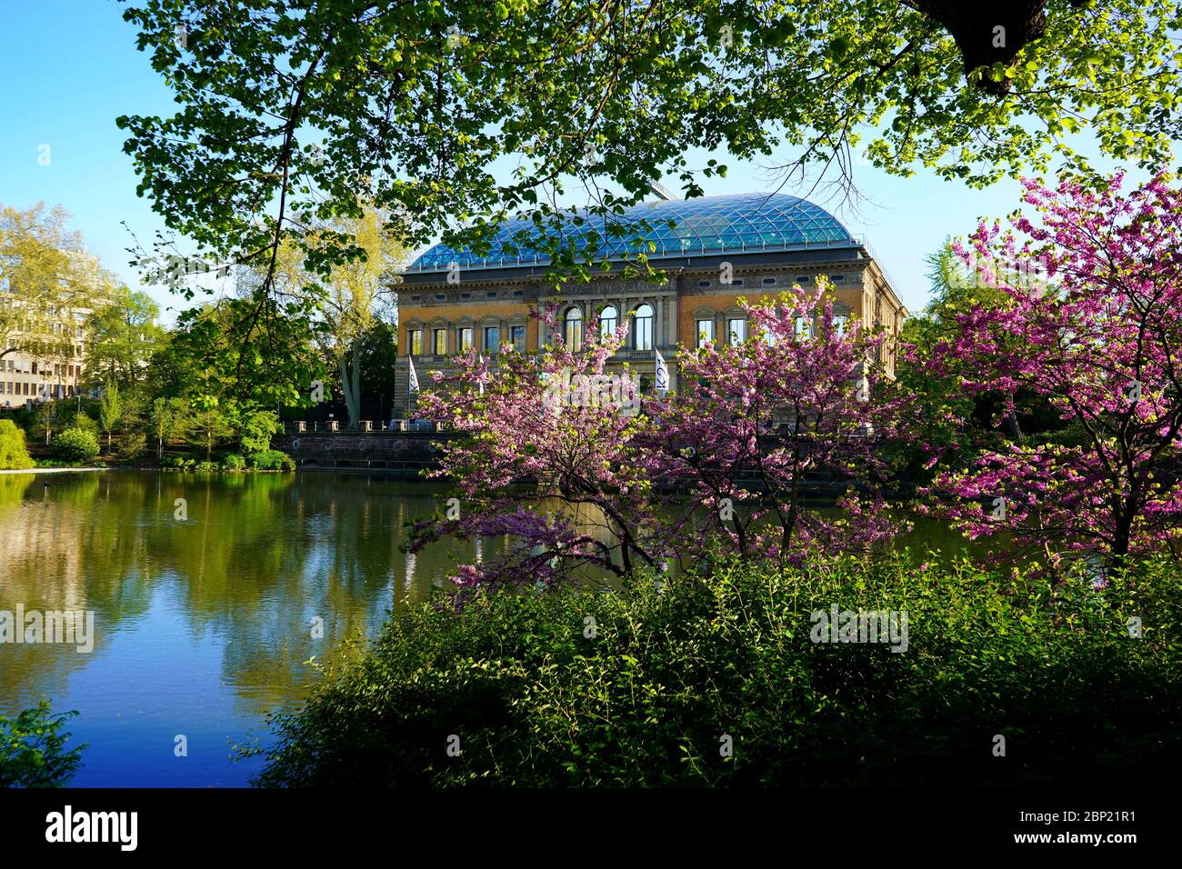 Ancien bâtiment „Ständehaus, construit de 1876 à 1880, à 'Kaiserteich' (étang de l'empereur). Magnifique paysage idyllique avec fleurs de cerisier rose. Banque D'Images