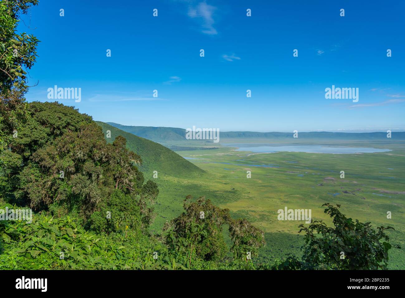 Vue sur la zone protégée de Ngorongoro. Le cratère de Ngorongoro est une grande caldeira volcanique et une réserve naturelle. Banque D'Images