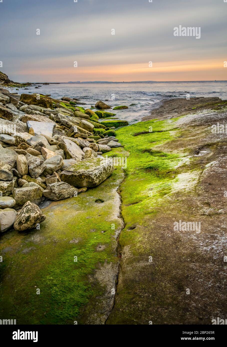 Flux d'écoulement comme la marée a disparu juste avec les algues et après le lever du soleil avec une lumière chaude orange lueur dans l'horizon. Baie de Durlston, Swanage, Dorset. Banque D'Images