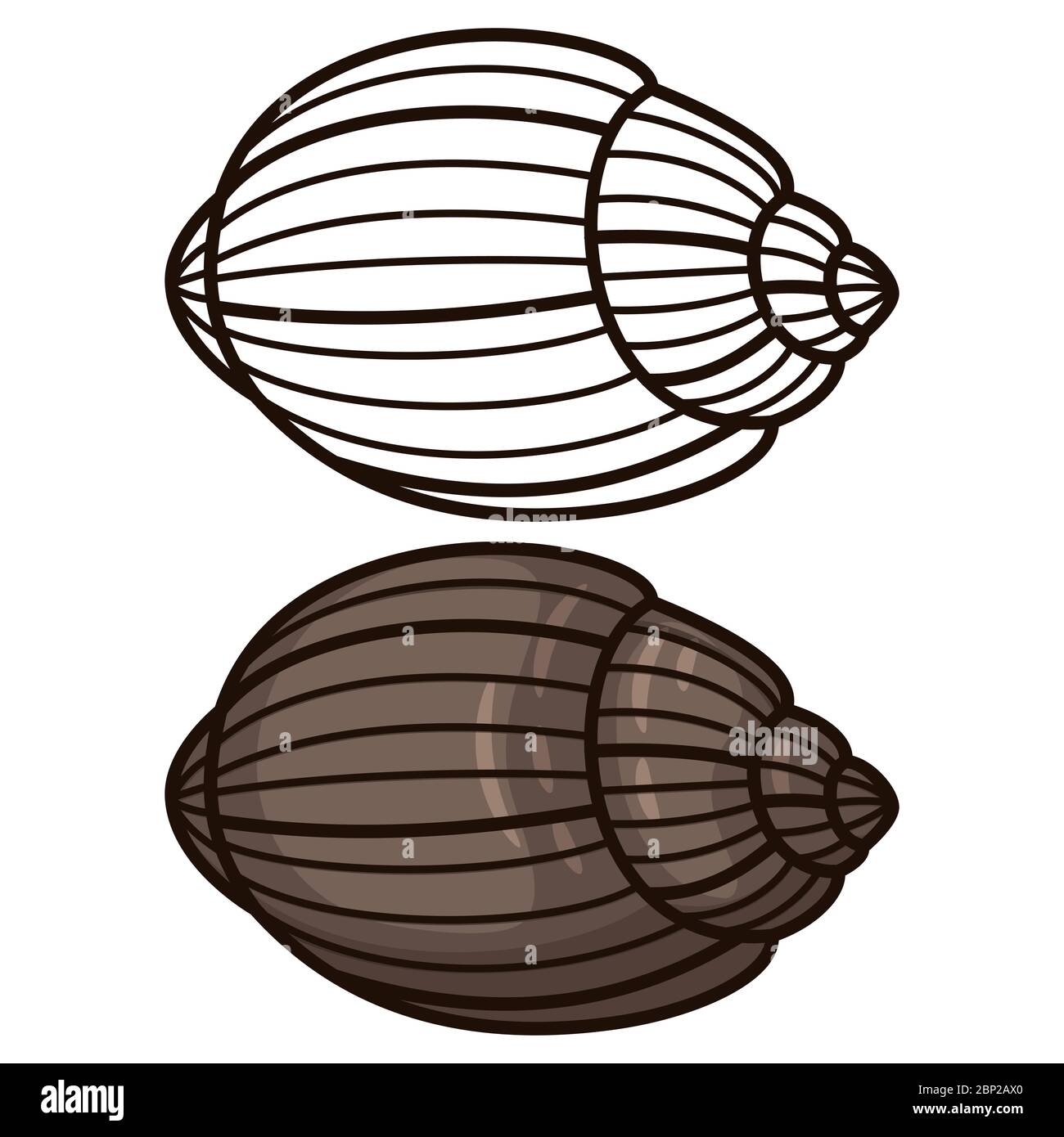 Page de coloriage de contour de seashell. Coque de dessin animé pour l'impression, le design, les autocollants, l'illustration vectorielle Illustration de Vecteur