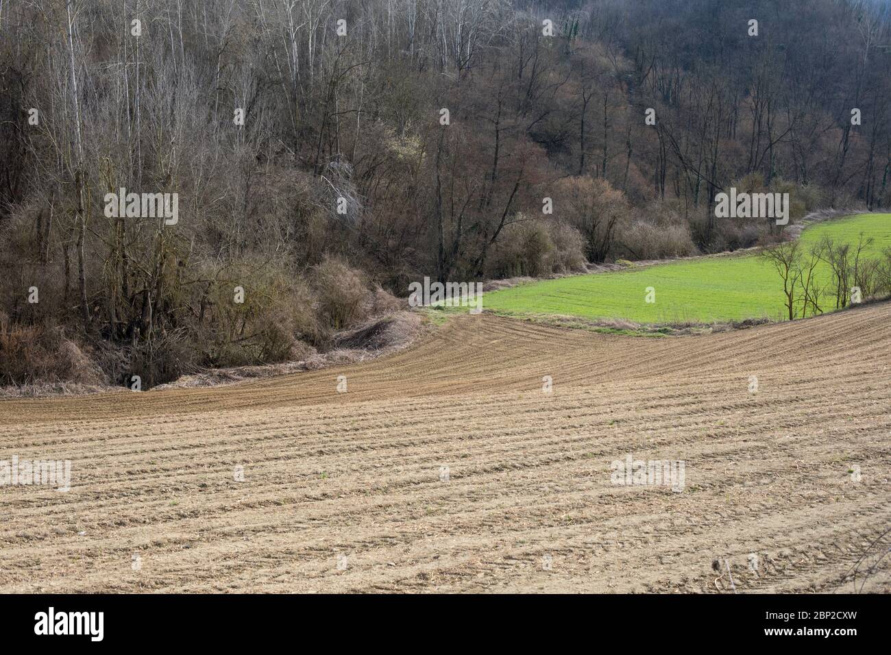 Paysage rural avec champ de ferme labouré près de Cassinasco, Langhe, Piémont, Italie Banque D'Images