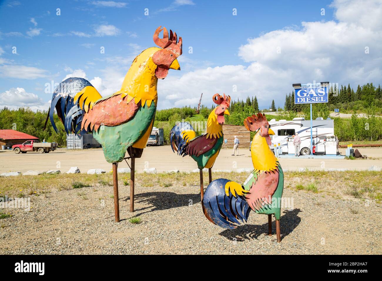 Statue de poulet et signalisation dans la petite ville aurifère de Chicken, Alaska Banque D'Images