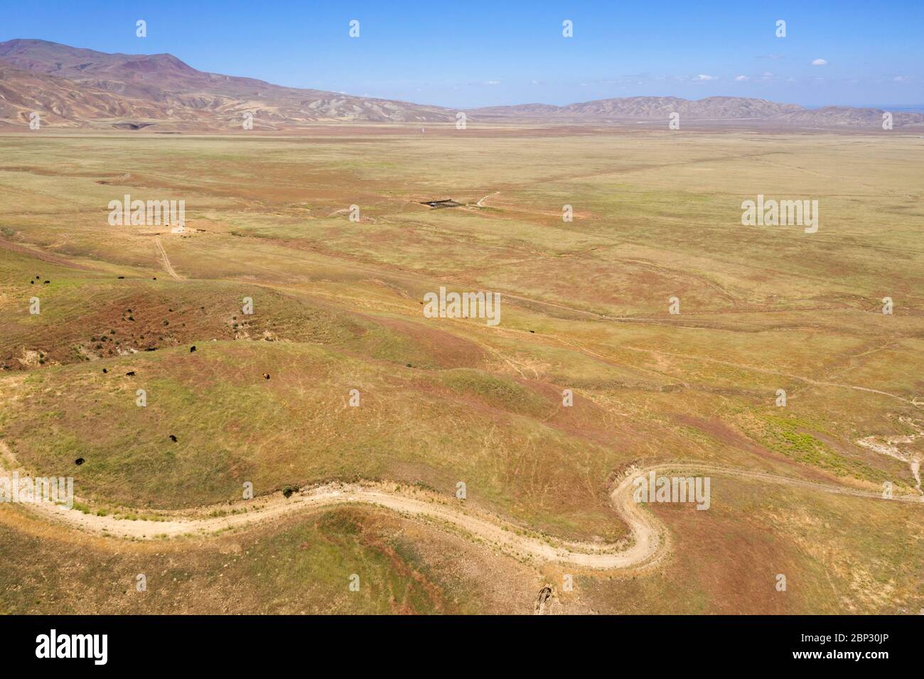 Vues aériennes des collines ondoyantes dorées des terres du Tejon Ranch dans le comté de Kern, Californie Banque D'Images