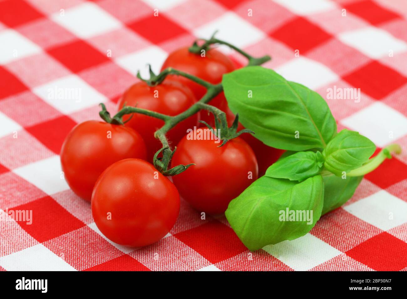 Tomates cerises mûres sur tige avec feuilles de basilic fraîches sur un chiffon à carreaux rouge et blanc Banque D'Images