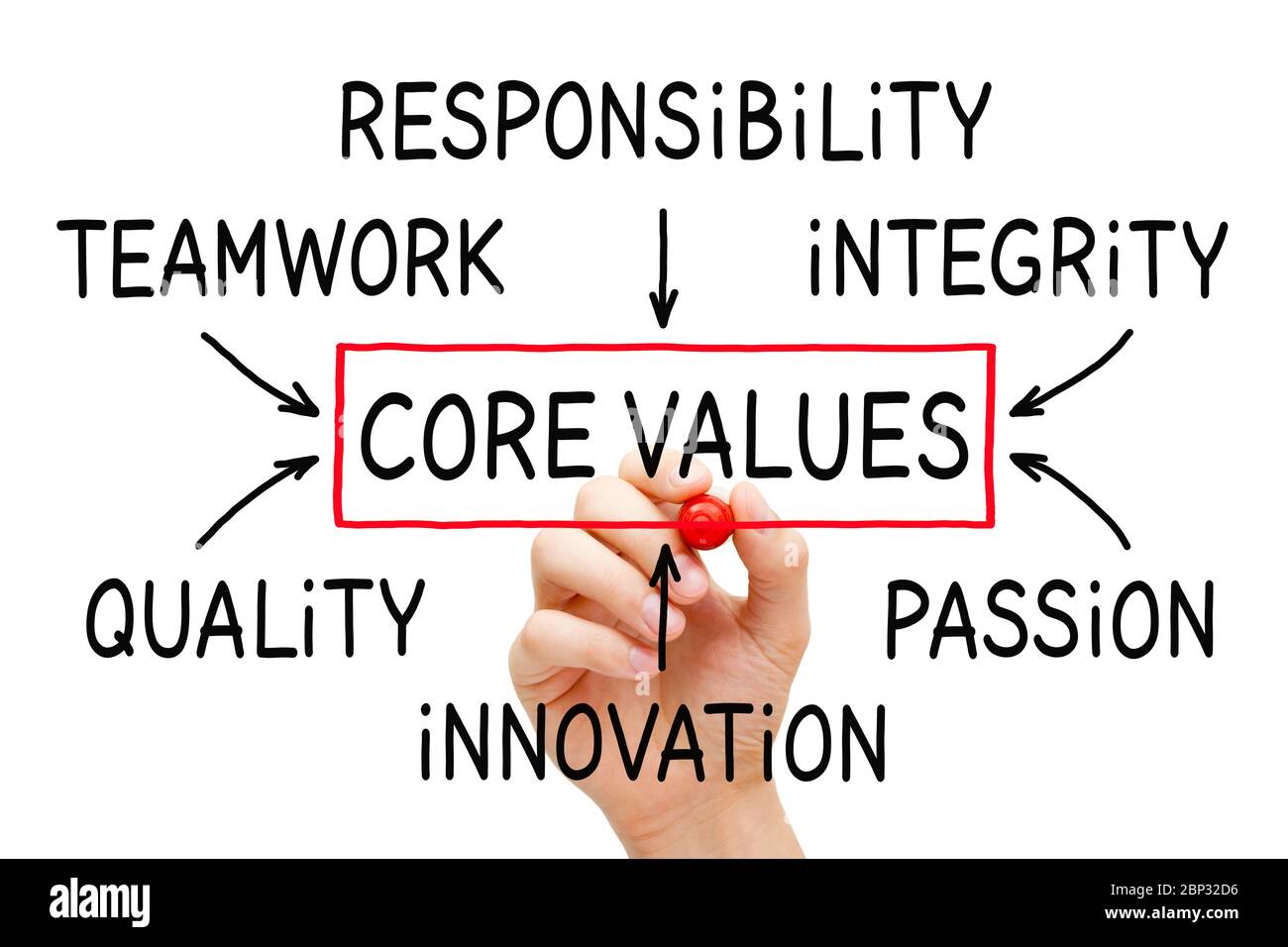 Dessin à la main entreprise valeurs fondamentales concept de diagramme sur tableau transparent de balayage isolé sur blanc. Banque D'Images