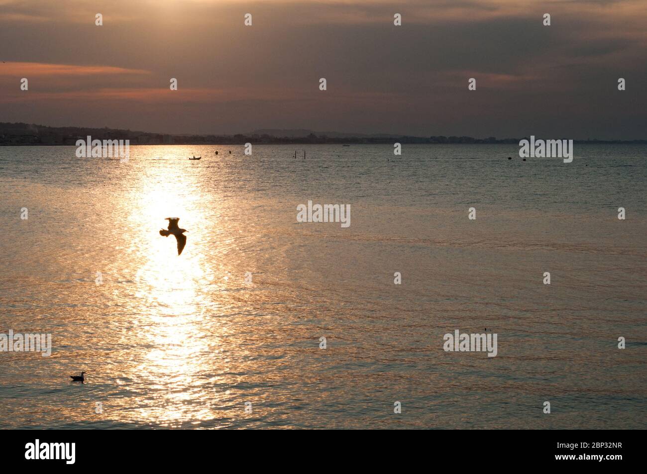 soleil réfléchissant sur l'eau de la rive et un mouette passant dans le rayon de lumière. au loin un bateau avec des figures humaines. panorama de la plage et s Banque D'Images