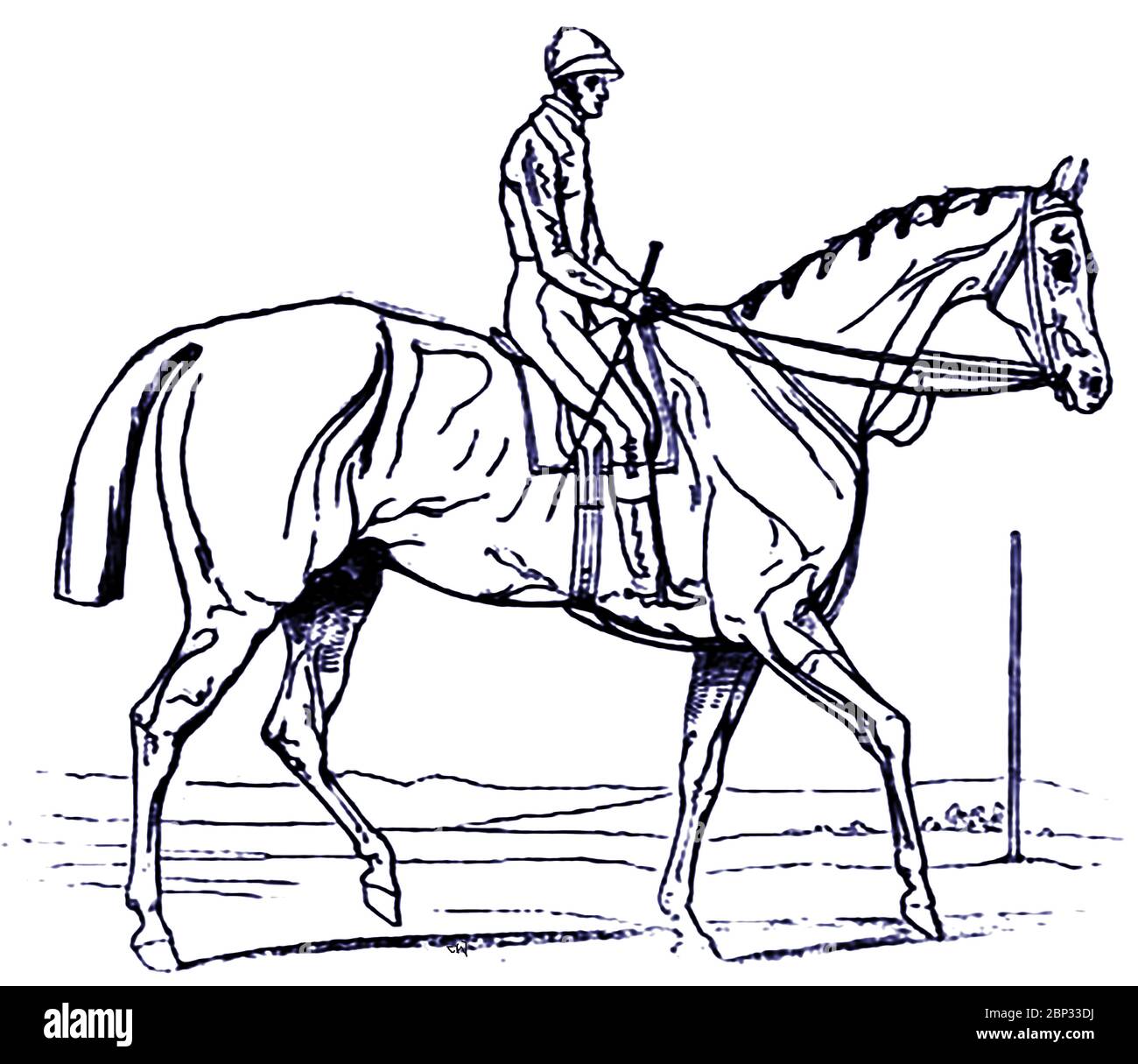 Un croquis du gagnant Attila du Derby Epsom 1842 (Royaume-Uni) et de son jockey Bill Scott, tiré sur l'hippodrome immédiatement après la course. Attila (1839–1846) était un étalon et une race de race de cheval de race britannique. Il est mort à l'âge de sept ans suite à des blessures subies lors d'un accident à bord d'un navire dans la Manche. L'éleveur était le colonel Hancox, l'entraîneur John Scott et le maître-major George Anson. Le pilote est William 'Bill' Scott frère de l'entraîneur de Whitewall stables à Malton, dans le North Yorkshire. Bill aurait dit sur son lit de mort que "n'avait jamais tiré un cheval dans sa vie" Banque D'Images
