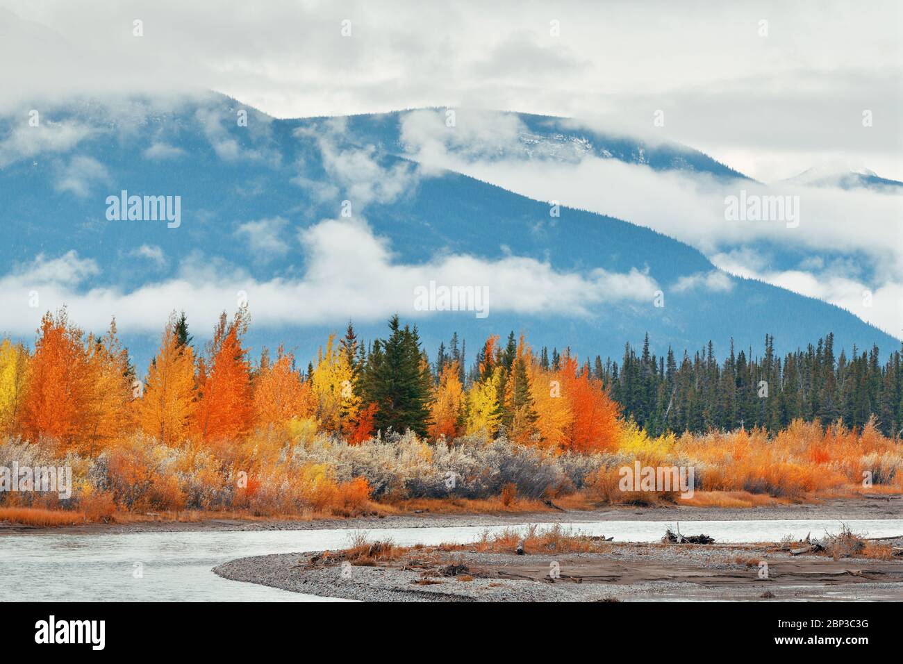 Beau feuillage d'Automne dans le parc national Jasper au Canada Banque D'Images