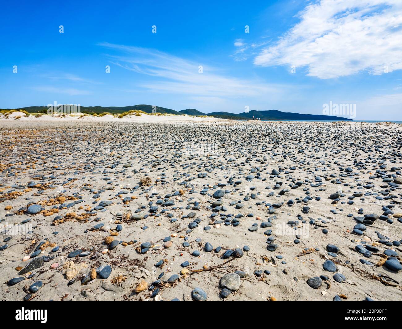 Petites pierres noires et coquillages dispersés sur le sable de la plage de Porto Pino, Sant’Anna Arresi, Sardaigne, Italie Banque D'Images