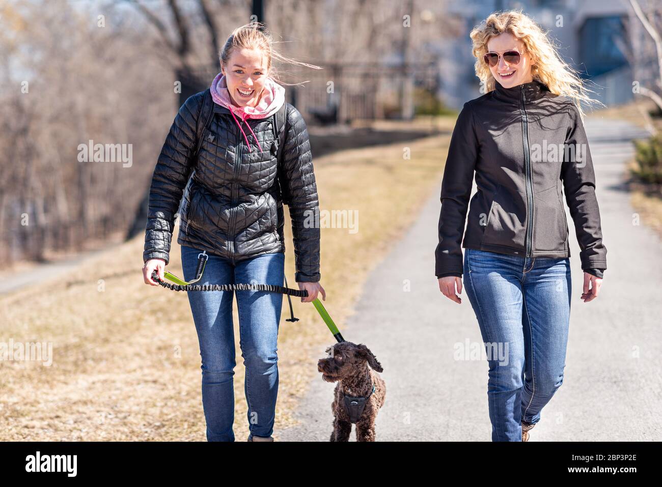 Deux femmes blondes amis marchant un chien Banque D'Images