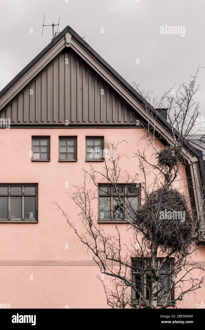 Un énorme oiseau nichent devant une maison rose dans une ville européenne. Banque D'Images