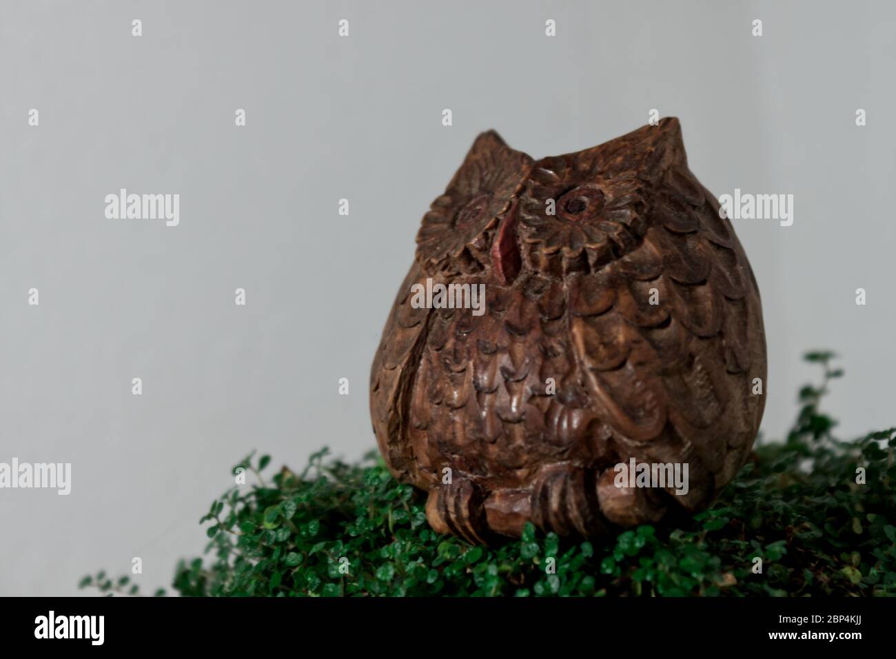hibou en bois sculpté isolé du fond sur une couche de lierre Banque D'Images