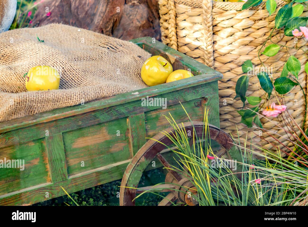 gros plan de l'installation décorative derrière la vitre - chariot en bois avec des pommes vertes et un tissu à sackcloth debout dans l'herbe Banque D'Images