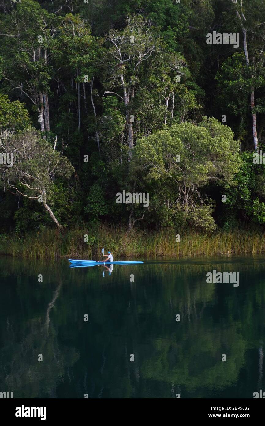 Homme en kayak sur le lac Eacham, parc national de Crater Lakes, Atherton Tableland, Queensland, Australie. Pas de MR ou PR Banque D'Images