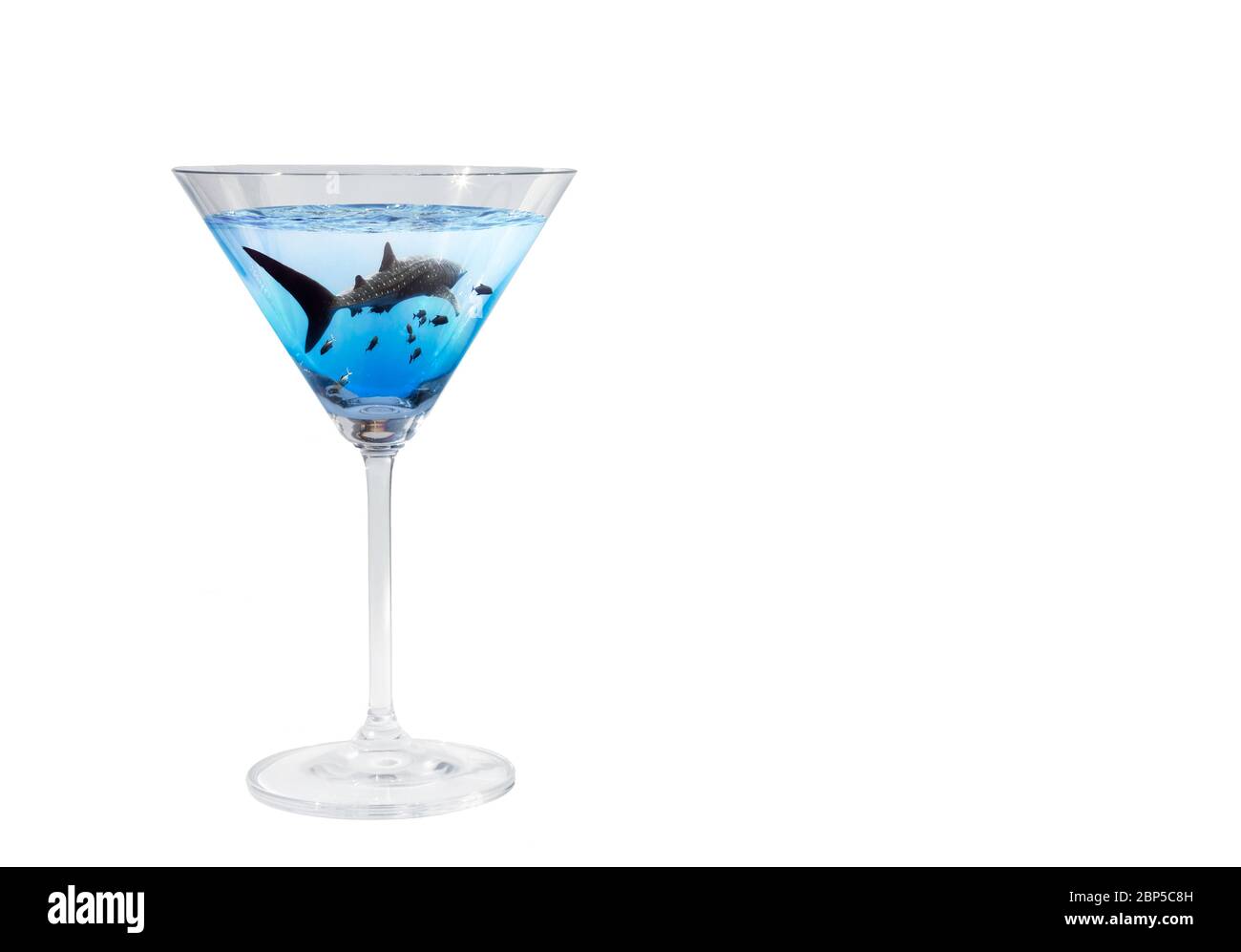 Sharktini: Profil du requin-baleine (Rhincodon typus) nageant avec des jacks noirs (Caranx lugubris) dans un verre martini sur fond blanc, Océan Pacifique Banque D'Images