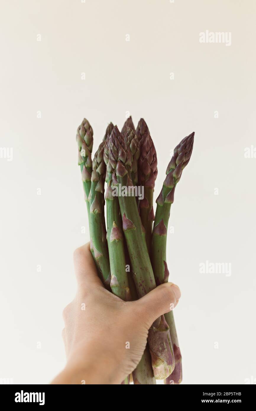 Image verticale de la main tenant un bouquet d'asperges contre le mur blanc. Espace négatif. Banque D'Images