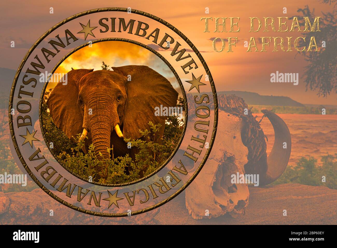Belles Photos De L Afrique Coucher Et Lever Du Soleil Avec Des Elephants Et Des Girafes Photo Stock Alamy Belles Photos De L Afrique Coucher Et Lever Du Soleil Avec Des Elephants Et Des Girafes Photo Stock Alamy