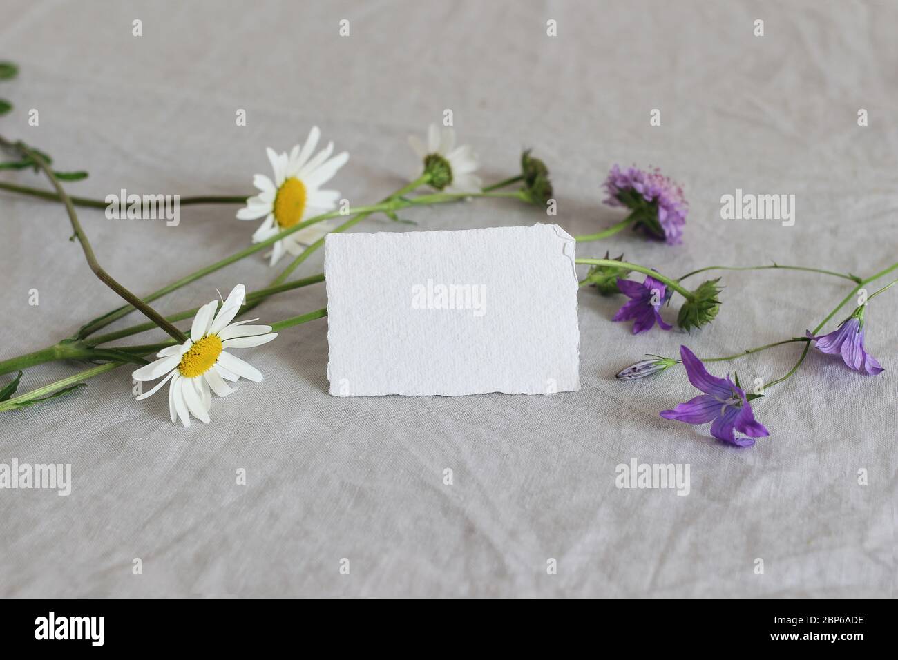 Composition de la vie au printemps, en été. Gros plan de l'entreprise vierge, place carte papier de coton maquette avec fleurs sauvages sur toile de table de lin. Pâquerettes, bleues Banque D'Images
