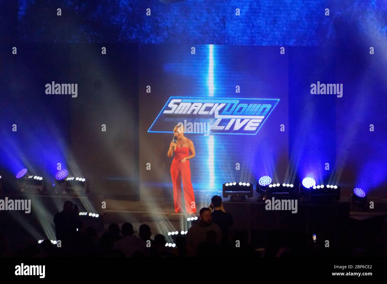 L'événement WWE Live 'MacckDown Live' à Hambourg Banque D'Images
