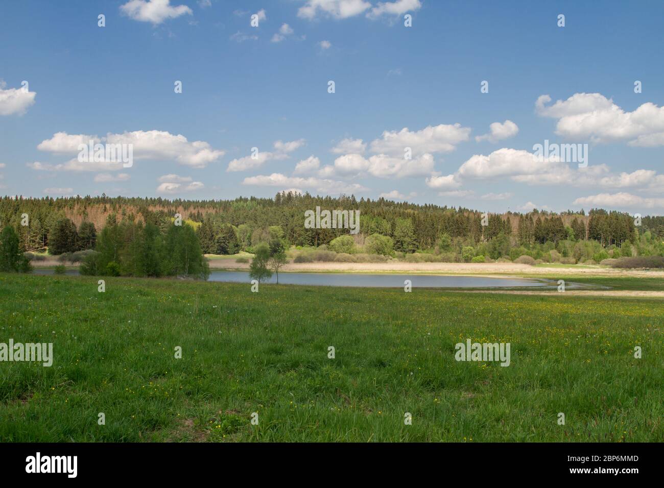 Flachauer Teich, Döllersheimer Ländchen, Waldviertel, Autriche Banque D'Images