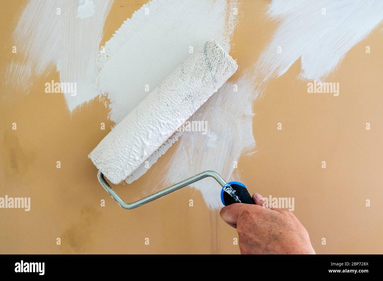 Décoration de maison. Peindre un mur blanc préparé à l'aide d'un rouleau à peinture. Banque D'Images