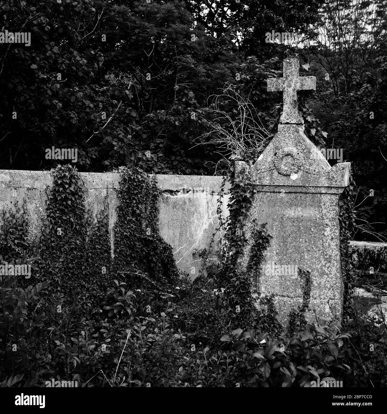 Cimetière, Inimond, massif du Bugey, Ain, France Banque D'Images