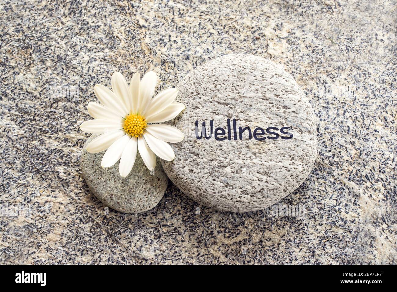 Word Wellness écrit sur un fond de pierre avec une Marguerite Banque D'Images