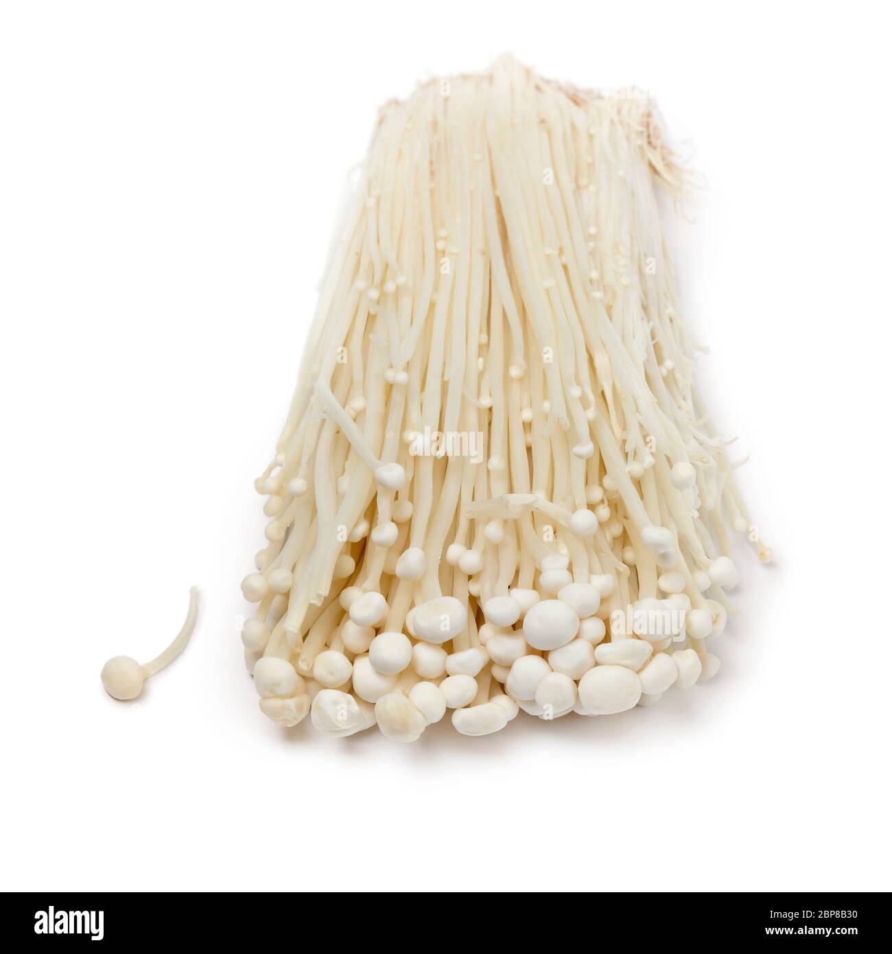 Groupe de champignons enokii blancs frais cultivés, isolés sur fond blanc Banque D'Images