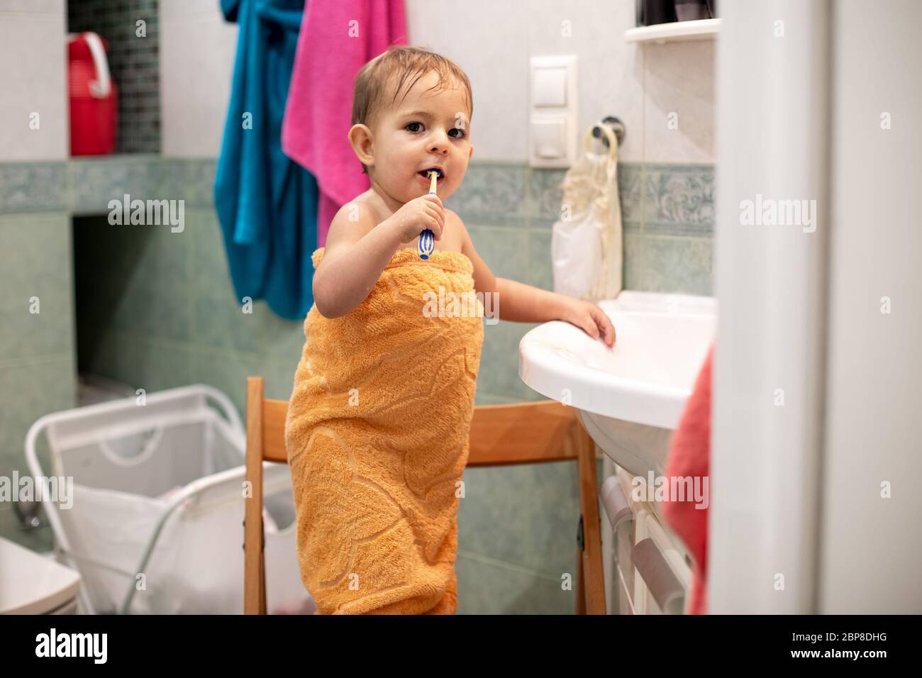 Un Petit Bebe Mignon 1 3 Ans Est Debout Sur Une Chaise Dans La Salle De Bains Enveloppee D Une Serviette Orange Avec Une Brosse A Dents Et Brosse Ses Dents Et Regarde Photo