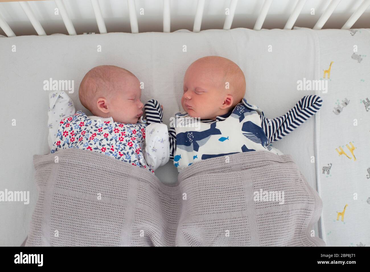 Trois semaines nouveau-né, des jumeaux mâles et femelles dormant dans un lit  bébé né lors d'un confinement du coronavirus à Londres, en Angleterre.  Photo © Sam Mellish Photo Stock - Alamy
