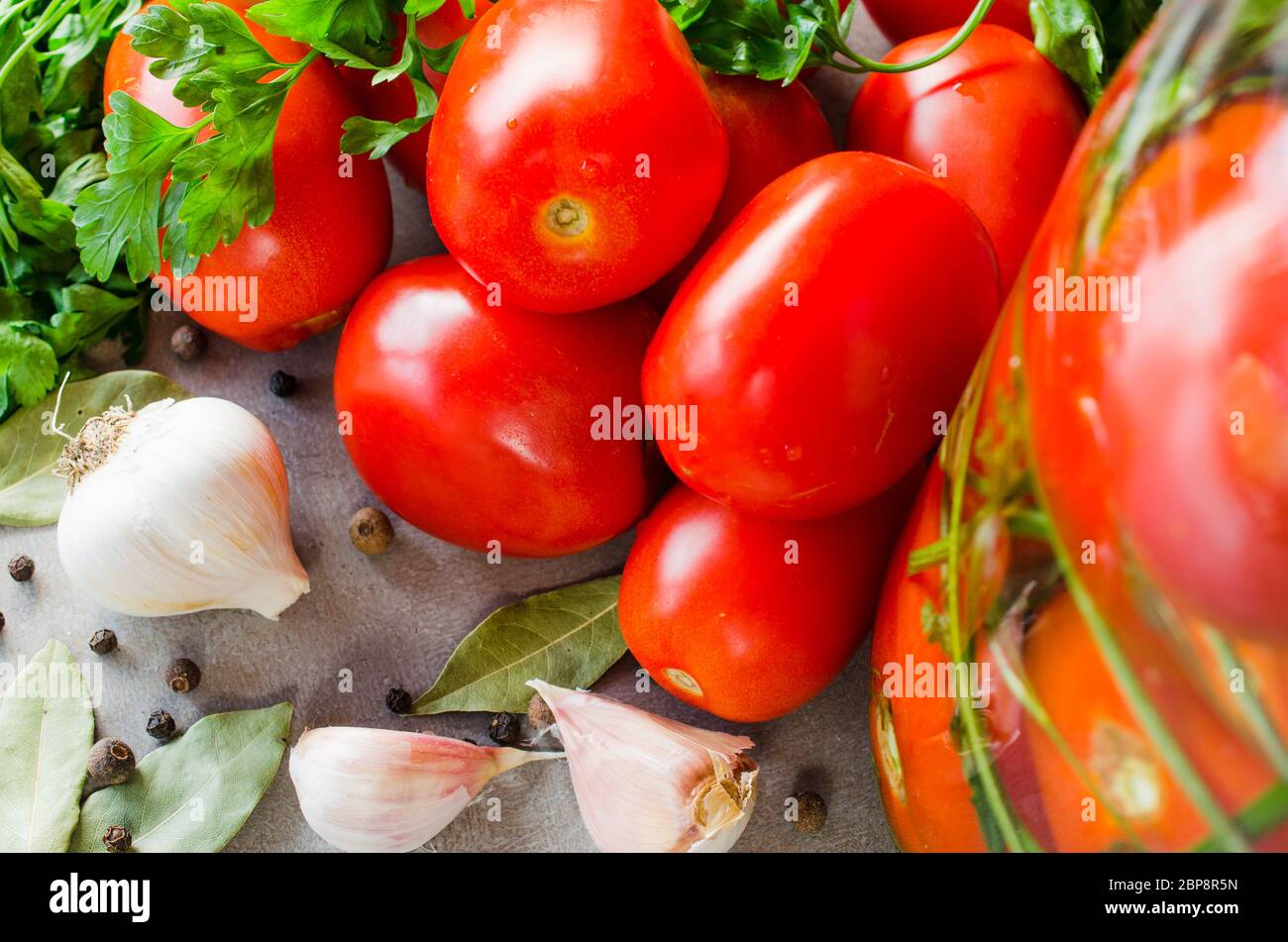 Conservation des tomates fraîches pour l'hiver. Préparation des tomates salées marinées avec des herbes et d'épices. Les tomates avec l'ail, le sel, l'aneth. Pic Banque D'Images