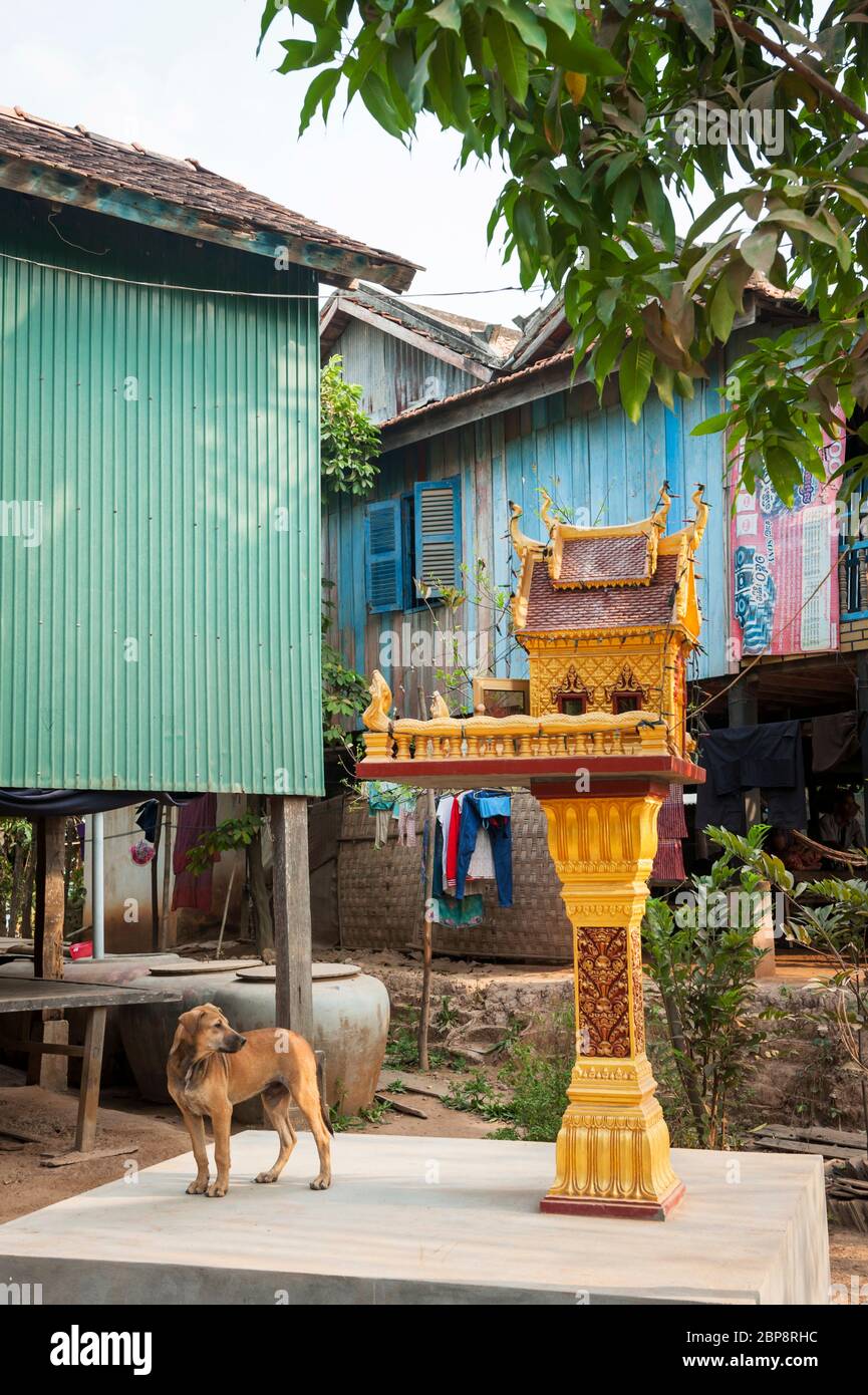 Chien par une maison d'esprit dans le village. Île de la soie, Phnom Penh, Cambodge, Asie du Sud-est Banque D'Images