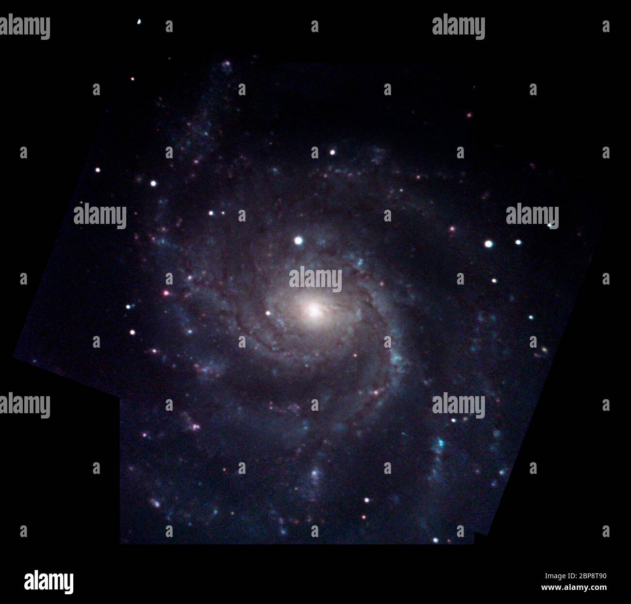 Image en mosaïque de la galaxie spirale M101 (REMARQUE : voir restriction d'utilisation, TV World) Banque D'Images