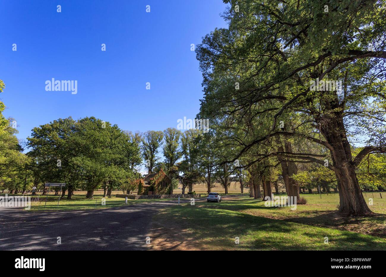 De superbes paysages carrefour trouvés juste après avoir traversé le pont sur l'Munsie Eaux Salisbury à Gostwyck Town, près de Uralla, NSW, Australie Banque D'Images