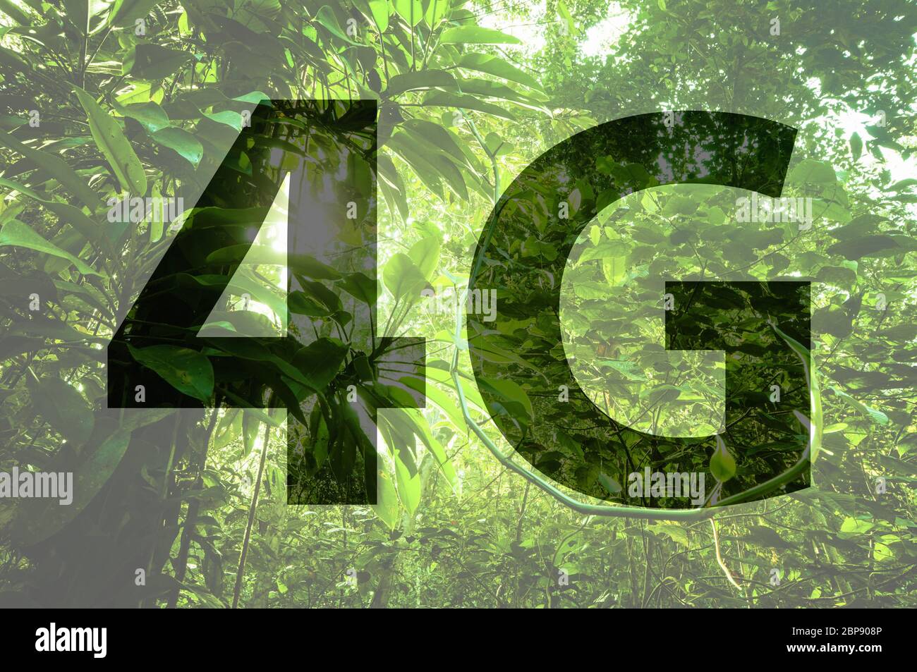 4G texte sur fond de forêt. Banque D'Images