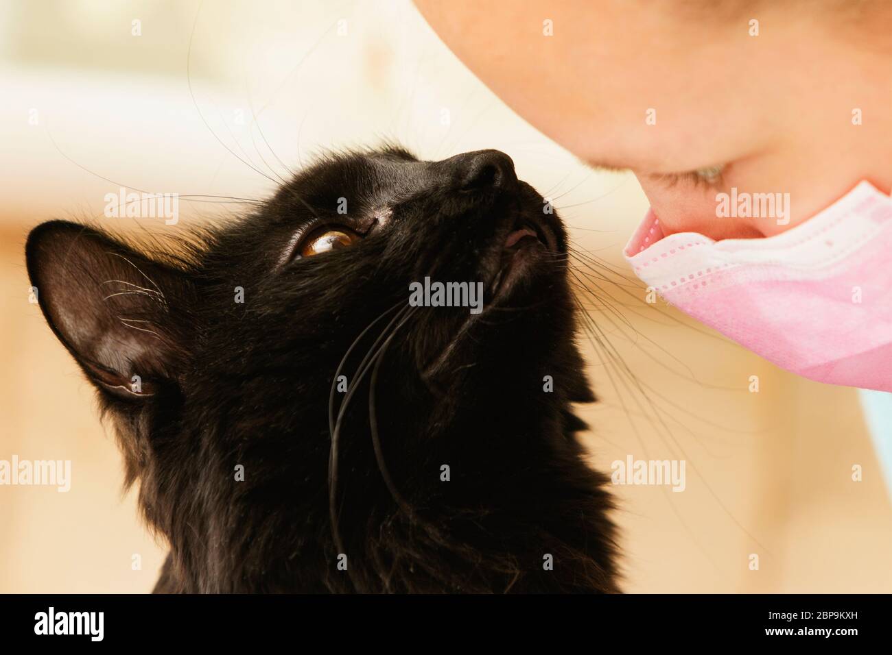 Une fille dans un masque médical isolé à la maison communique avec un chat noir. Banque D'Images