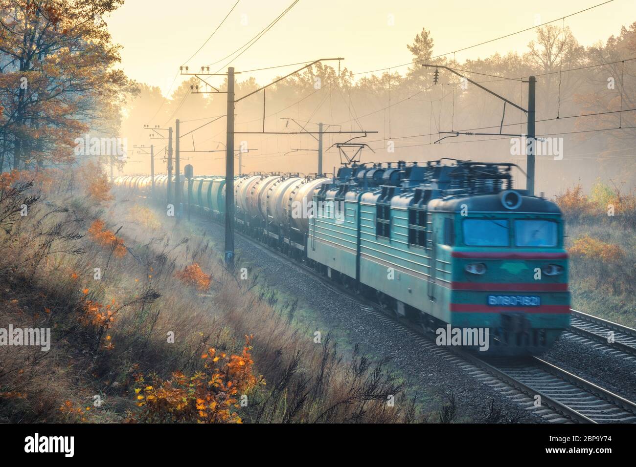 Train de fret mobile dans une belle forêt dans le brouillard au lever du soleil Banque D'Images