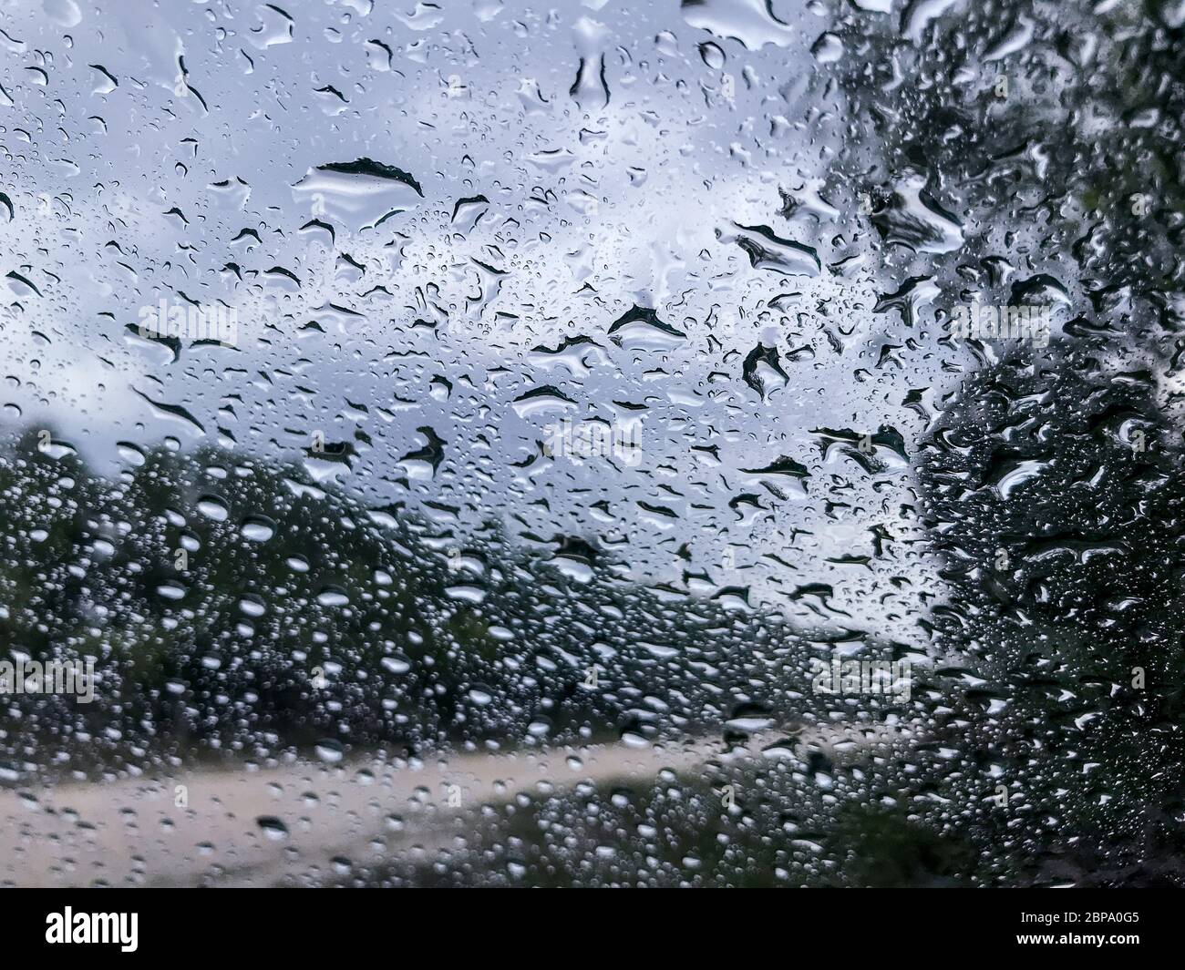 Les gouttes de pluie s'accumulent sur le pare-brise d'une automobile pendant les jours de pluie dans la réserve Big Cypress, Everglades, Floride Banque D'Images