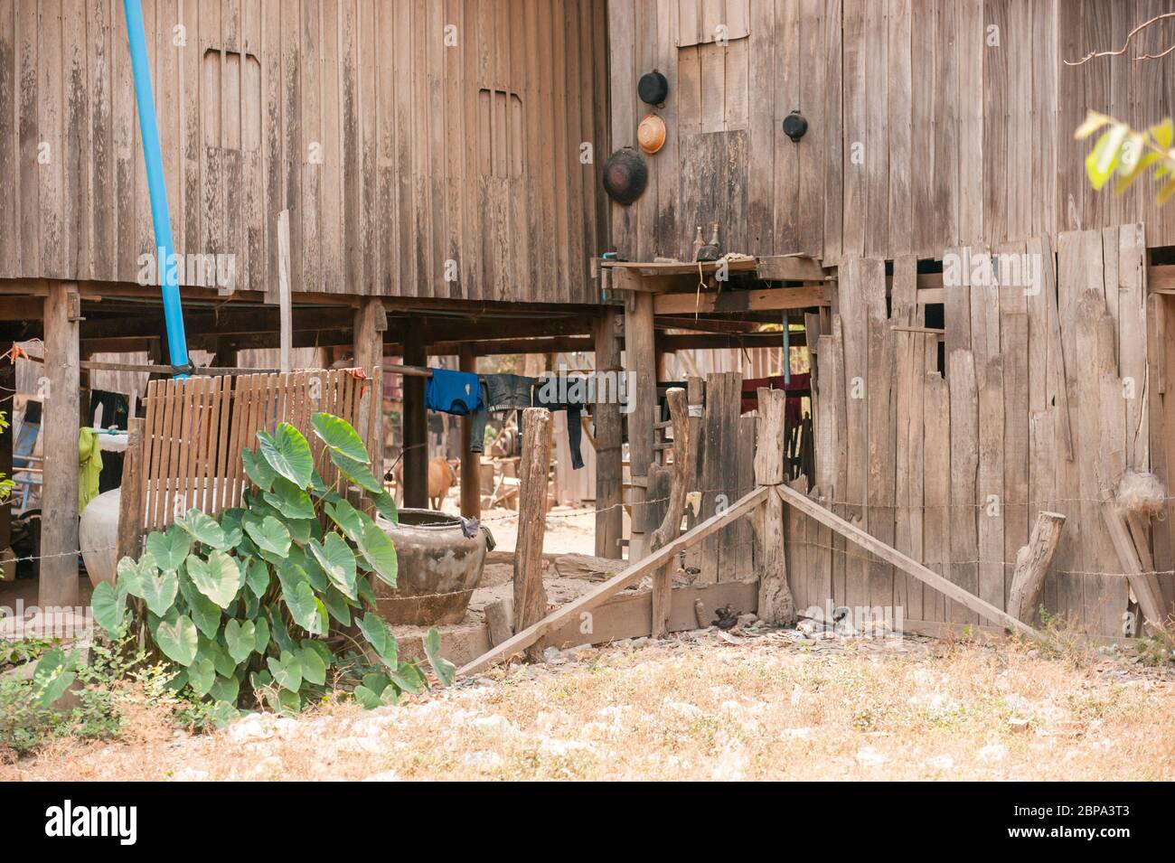 Maisons, clôtures, plantes et lavage dans un village rural de Cham. Cambodge central, Asie du Sud-est Banque D'Images