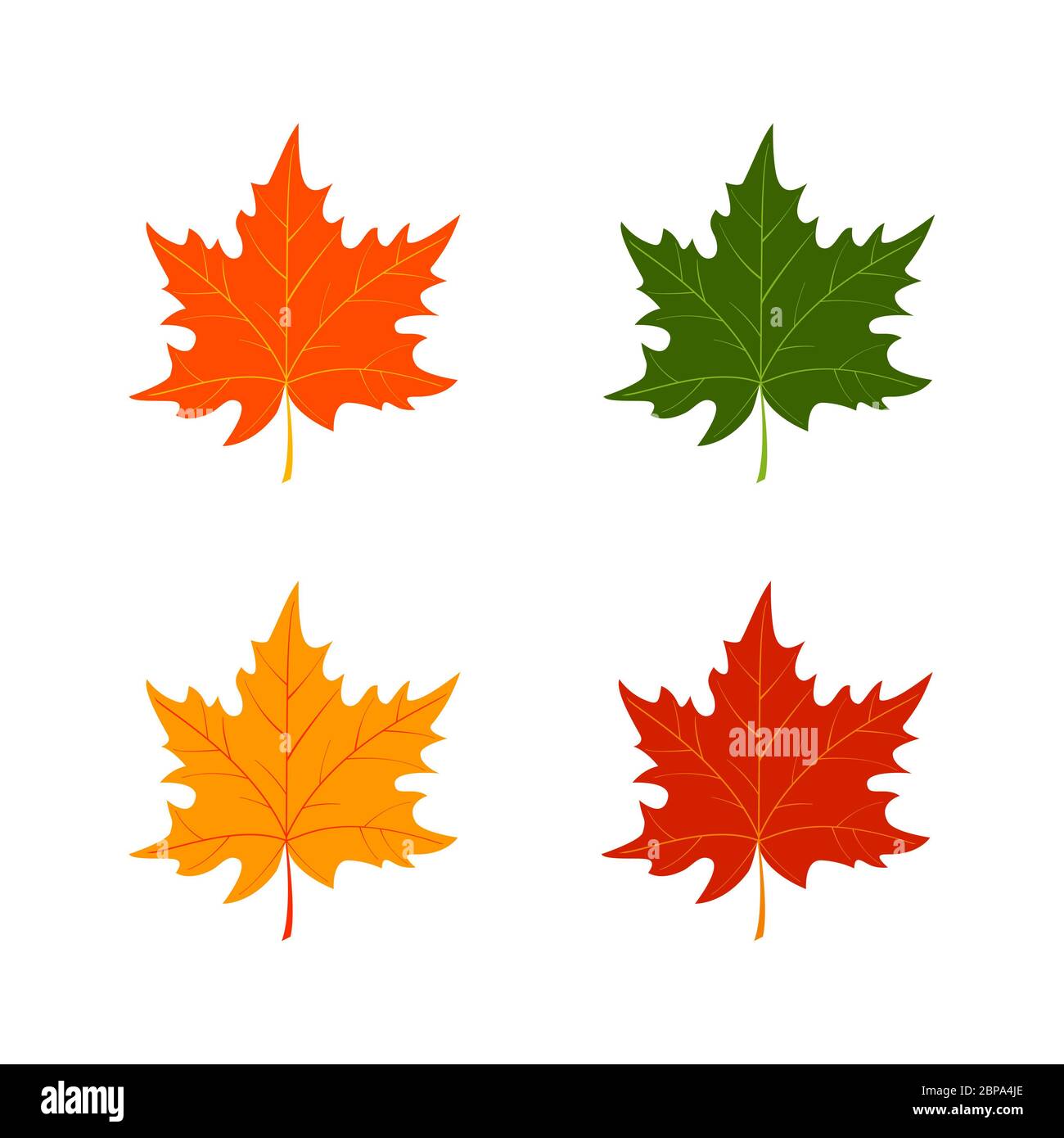 Ensemble de feuilles d'automne Banque D'Images