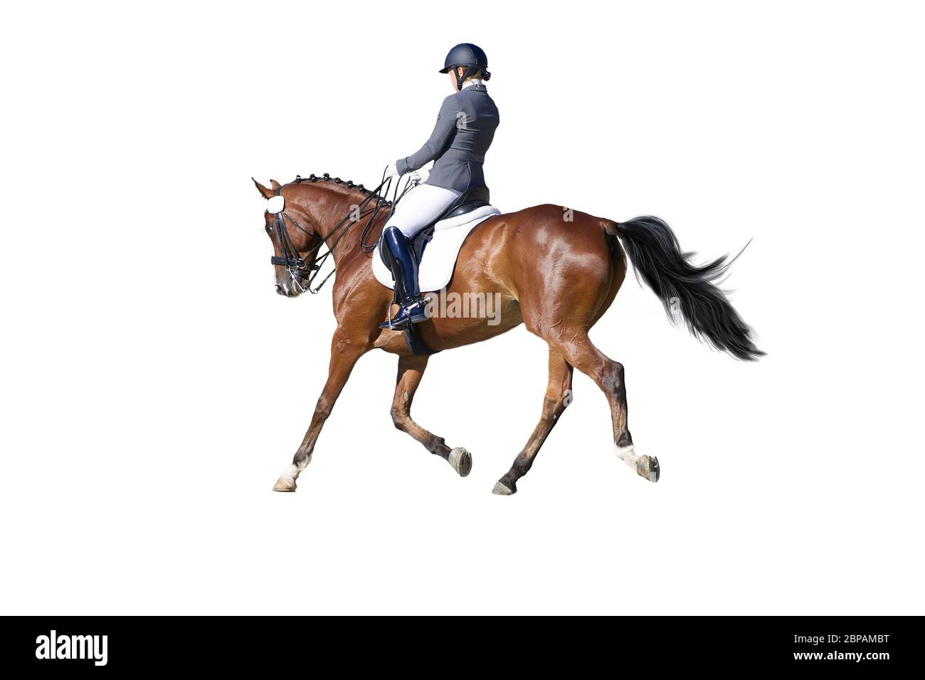Tête d'un jeune cheval de dressage avec cavalier inconnu en action image  libre de droit par accept001 © #109731554