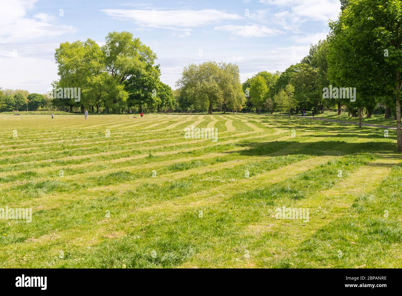 Le conseil municipal de Birmingham a coupé l'herbe en bandes de deux mètres dans les espaces publics pour encourager la distanciation sociale pendant la pandémie de couverture 19 Banque D'Images