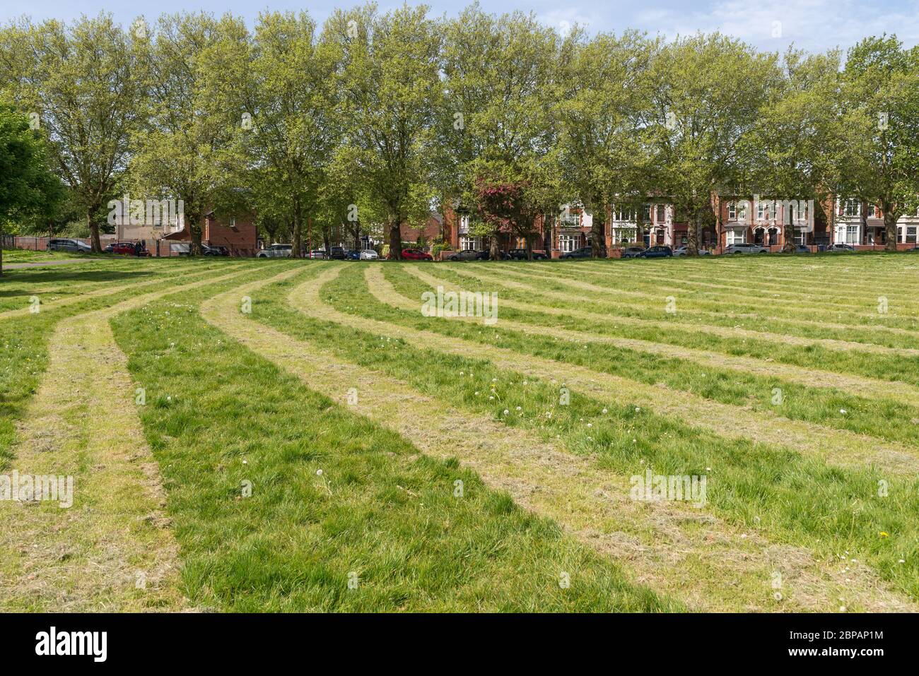 Le conseil municipal de Birmingham a coupé l'herbe en bandes de deux mètres dans les espaces publics pour encourager la distanciation sociale pendant la pandémie de couverture 19 Banque D'Images