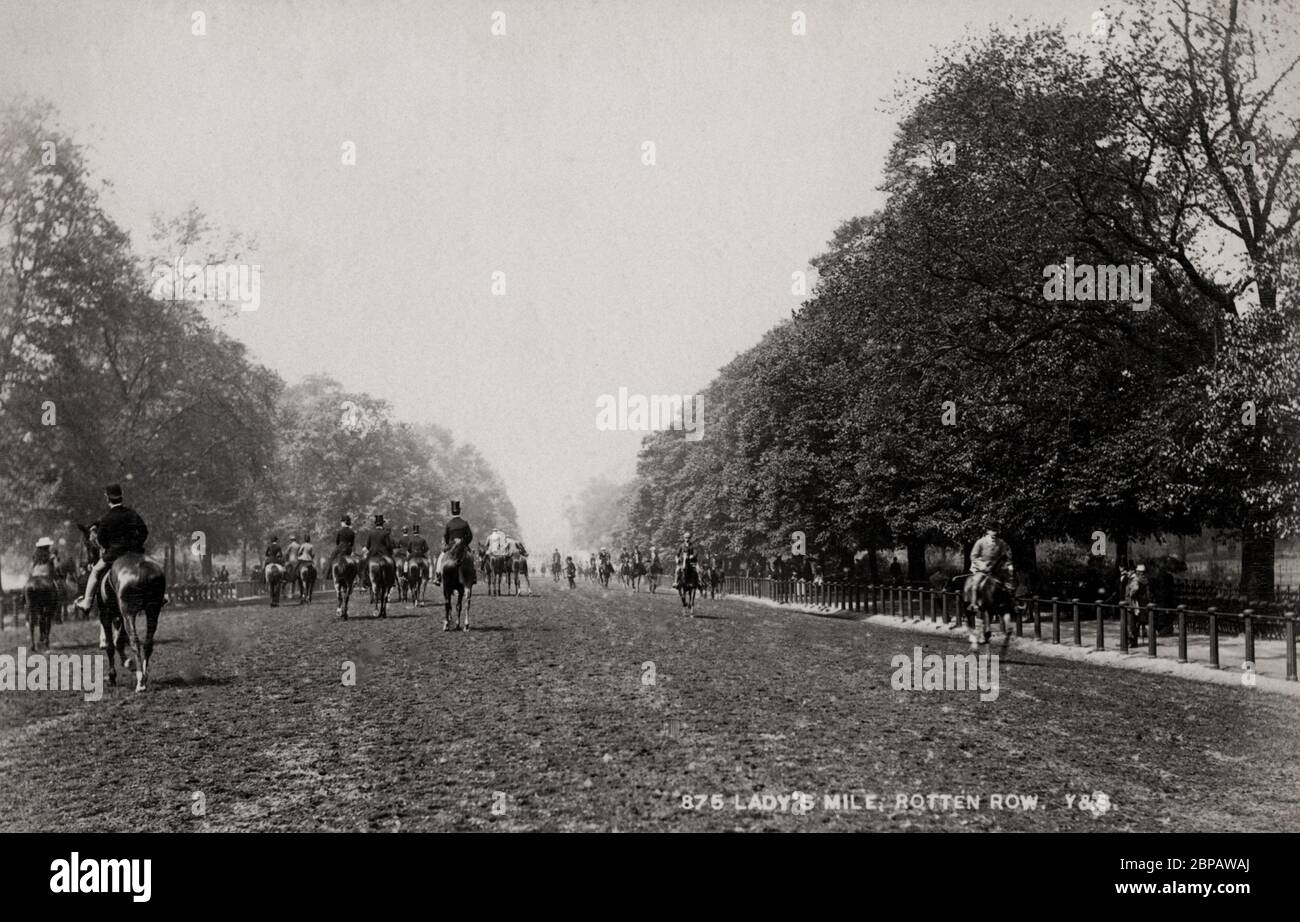 Chevaux et cavaliers sur Lady's Mile, Rotten Row, Hyde Park Londres Banque D'Images