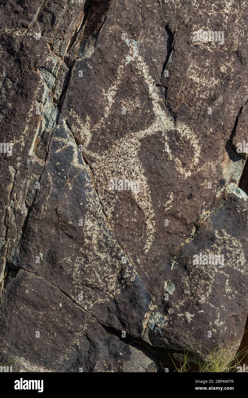 L'art rupestre, peut-être représentant un grand Roadrunner portant un serpent, créé depuis longtemps par les personnes Jornada Mogollon sur le site Three Rivers Petroglyph dans le Banque D'Images L'art rupestre, peut-être représentant un grand Roadrunner portant un serpent, créé depuis longtemps par les personnes Jornada Mogollon sur le site Three Rivers Petroglyph dans le Banque D'Images
