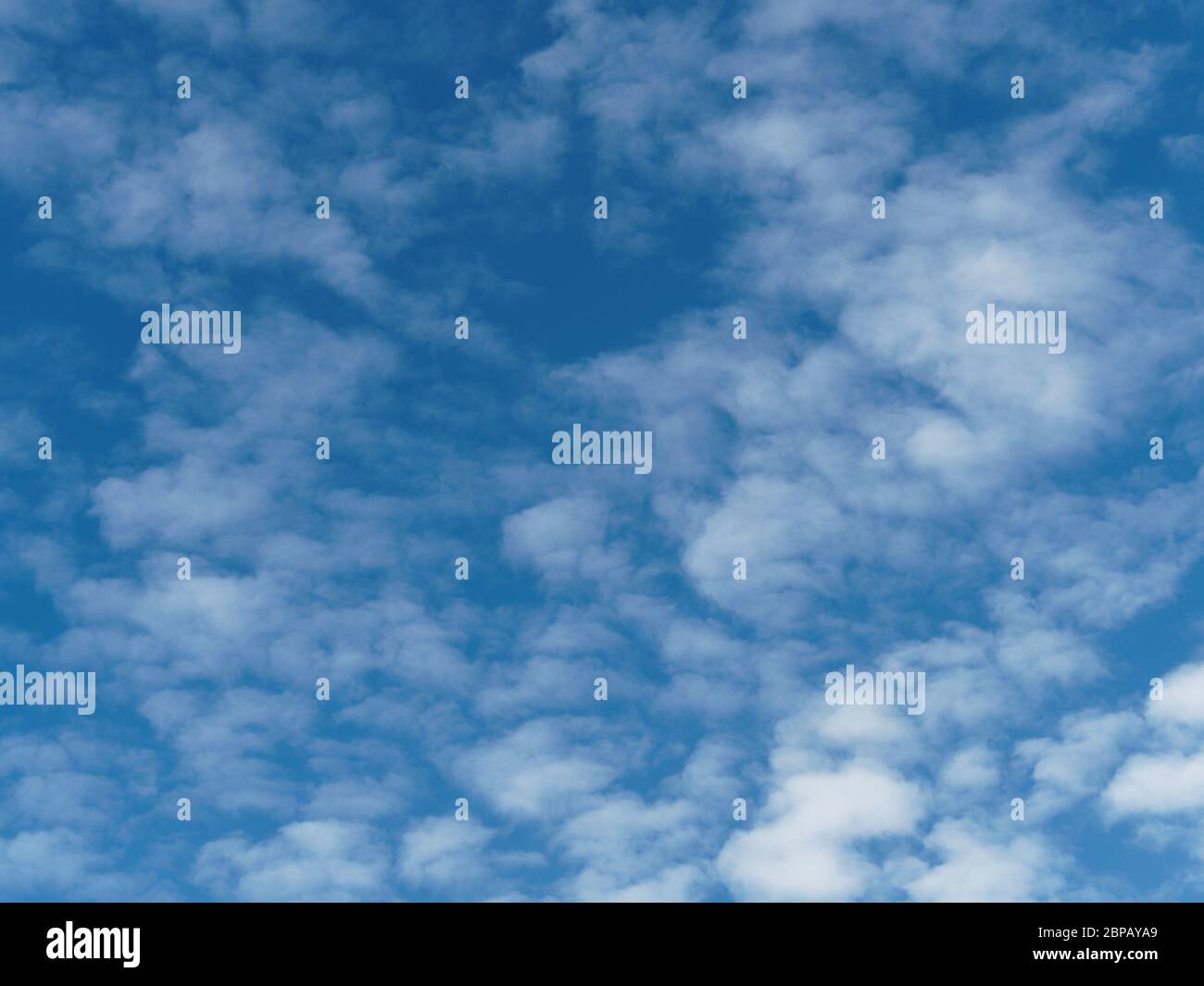 Ciel bleu avec des nuages blancs et wispy (probablement cirocumulus) Banque D'Images