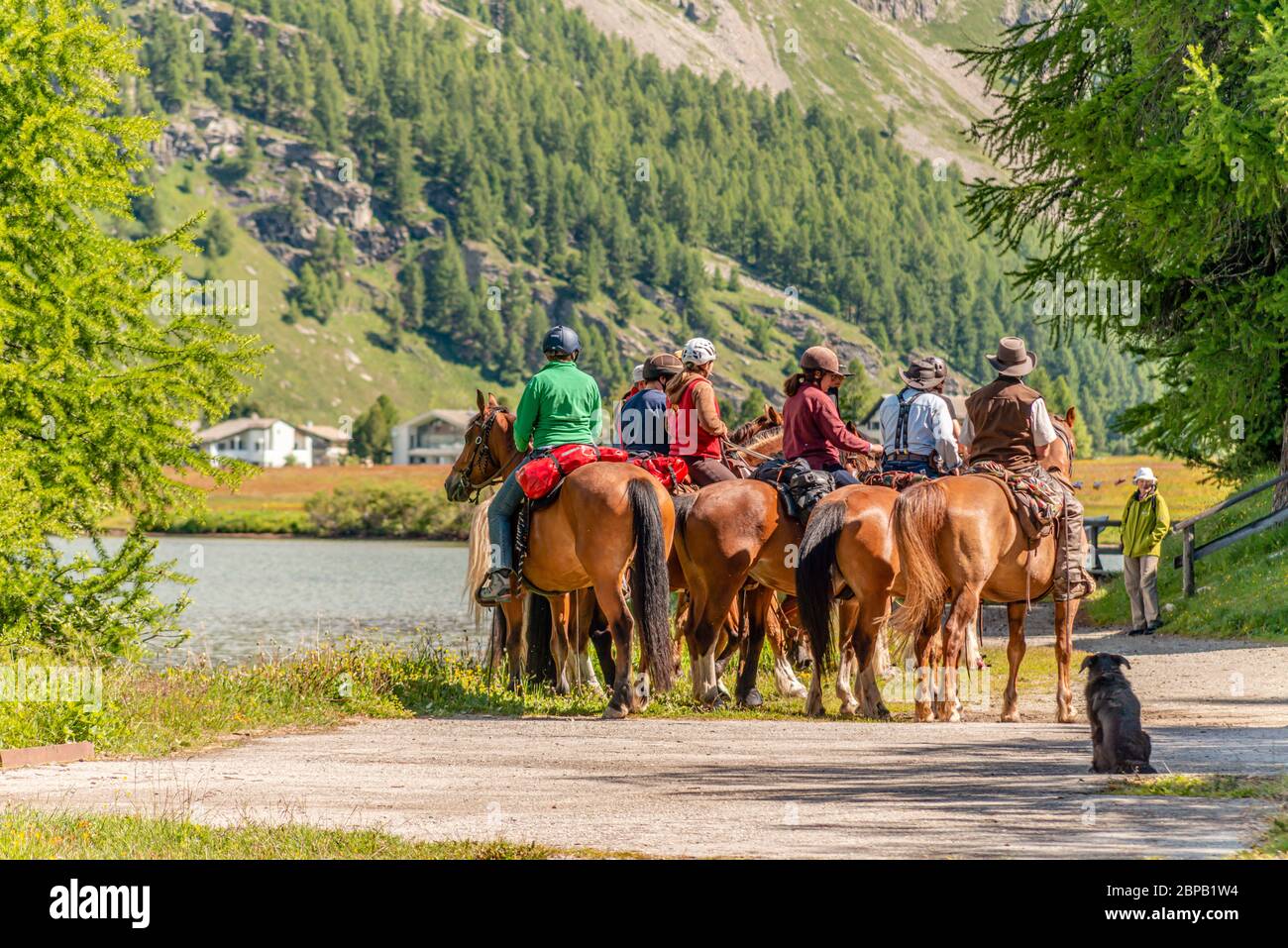 Groupe de cavaliers au lac Sils en été, Grisons, Suisse Banque D'Images