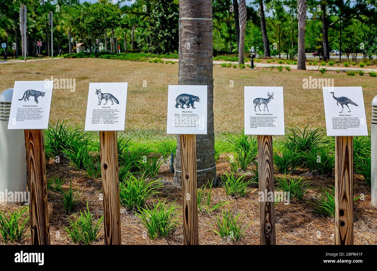 Une exposition éducative au Florida Welcome Center donne aux touristes des informations sur les animaux indigènes qu'ils peuvent rencontrer pendant qu'ils sont dans l'État. Banque D'Images