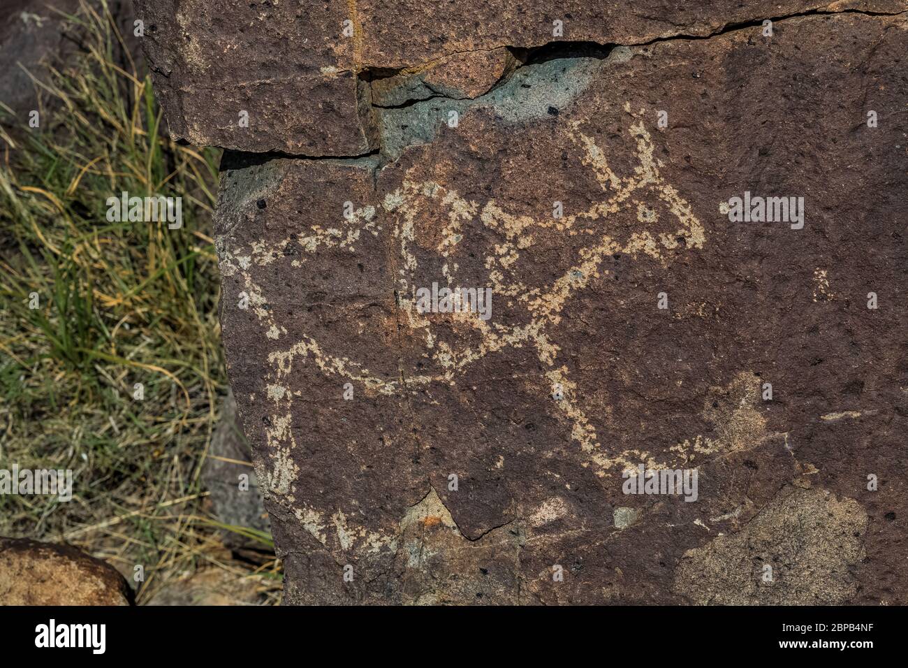 Art rupestre représentant de grands mammifères créés depuis longtemps par les habitants de Jornada Mogollon sur le site de Three Rivers Petroglyph dans le nord du désert de Chihuahuan, New Mex Banque D'Images Art rupestre représentant de grands mammifères créés depuis longtemps par les habitants de Jornada Mogollon sur le site de Three Rivers Petroglyph dans le nord du désert de Chihuahuan, New Mex Banque D'Images